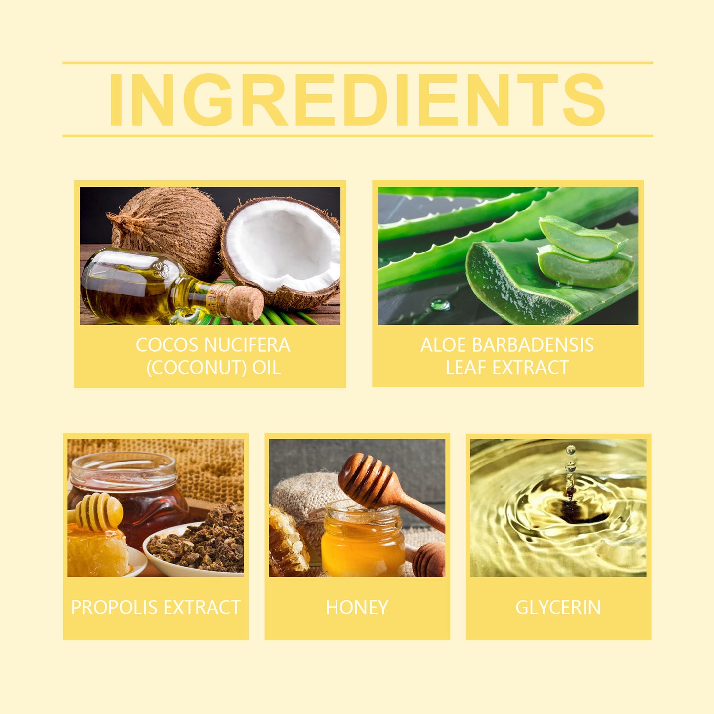 EELHOE Honey Lip Balm  – Deep Moisturizing & Soft Nourishing Lip Treatment for Smooth, Shiny Lips